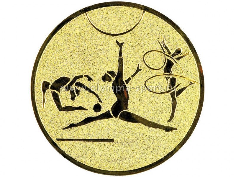 Вкладыш AM1-141-G (худ.гимн.)