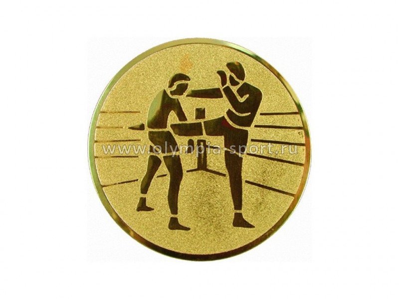 Вкладыш D1 A58 (кикбоксинг, тайский бокс)