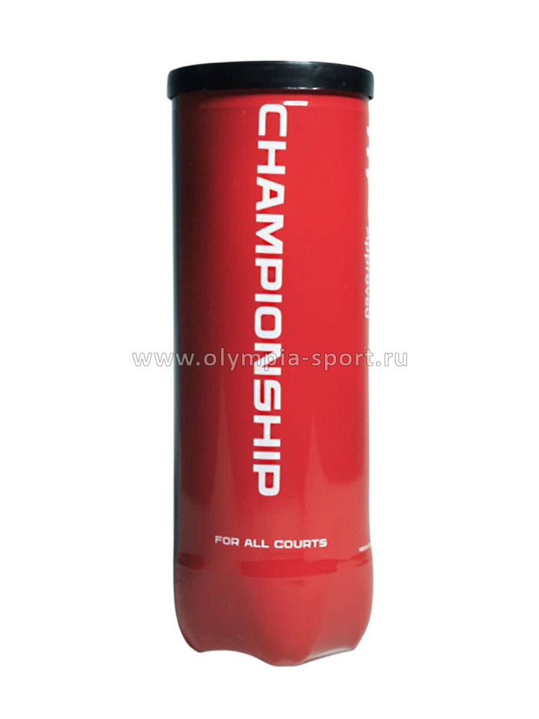 Мяч для большого тенниса NS Championship 3B (3 шт.)