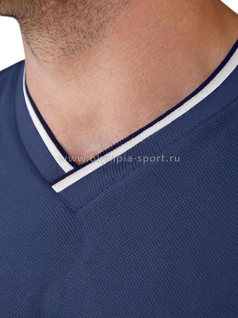Футболка мужская Vilatte U49.056 св.синий